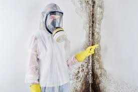 Springdale, NJ Mold Prevention & Removal  Company